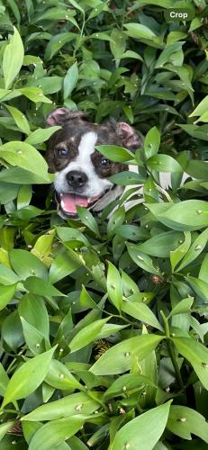 140DC9E6-4DC7-42A4-BE91-6B8E47644D84