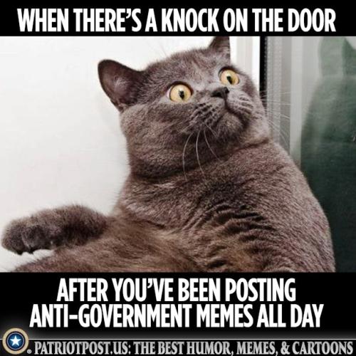 01K3XP8E1VF5TG5W8GFMDJDGPG