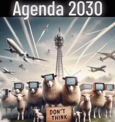 image_2025-08-15_065812790