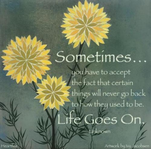 538010200_1368550255043530_501917467336744085_n