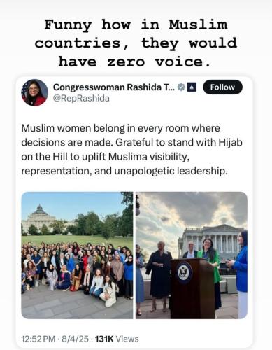 Muslims have zero voice