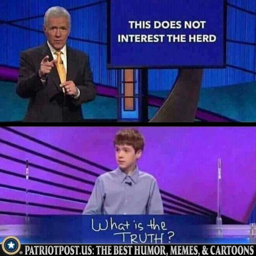 01K2SHYQFYAFNXM33GP8G746X9