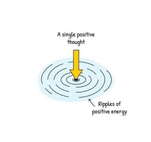 534560094_774176575498537_7930247285326630920_n