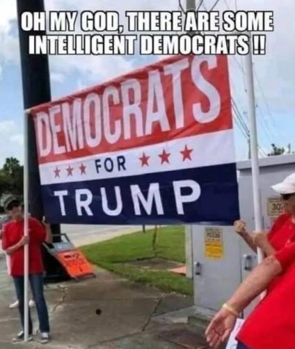 C797FEC9-BD9B-4EA4-BB96-75D058D39583