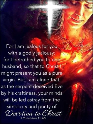 IMG_20250813_002704_533