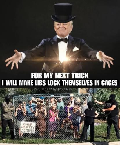 Screenshot_2025-08-11-05-48-49-983