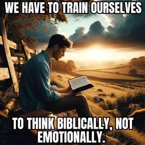 7BBA40B9-4683-4F0E-804C-D4202EE2AC5C