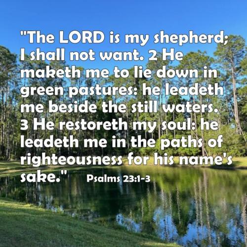 0df80a4e-4b4e-4d41-852a-ab6d71867f73