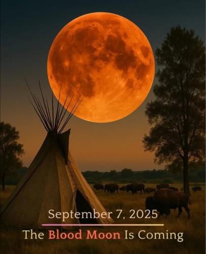 539350460_1208679737953922_2543332237638605436_n