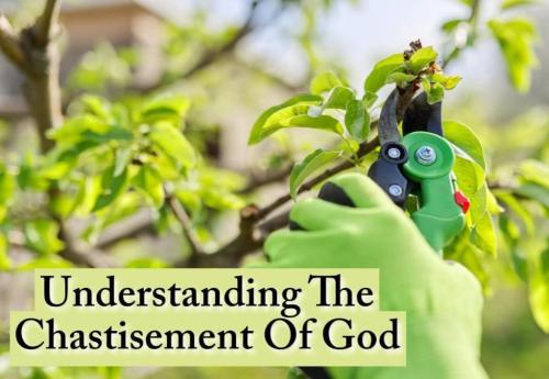 fd5314c2-cc22-4a6a-9586-cc0879eff478