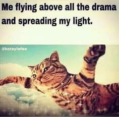 540105472_122225053316088259_5445356192483665715_n