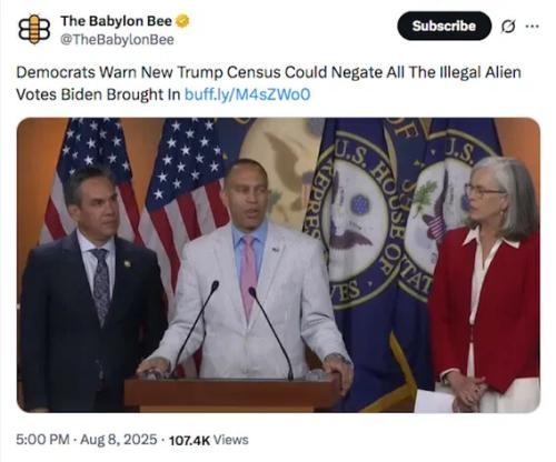 negate-illegal-votes