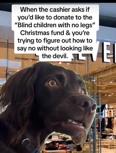 IMG_20250816_212553_020