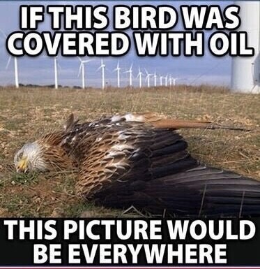 a13b5bdc-719e-45cb-9fe1-4f24bd836d04