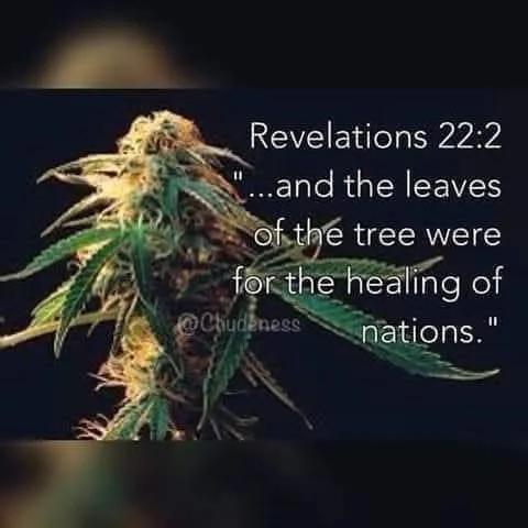 IMG_20250831_153101_149