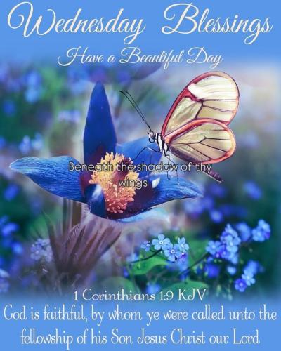 537023938_18021449162743683_5270955342264833323_n