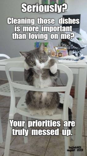 a96fdfe7dfa98e05c45370d337fbd0b0