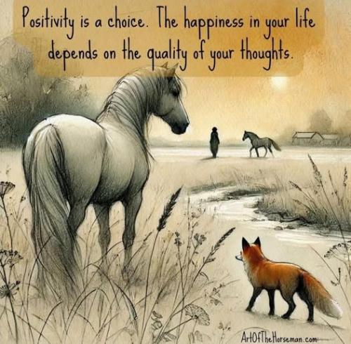 535887510_9584633804973534_5873105987395712182_n