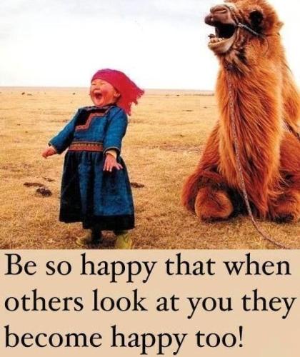 dd8c53927745f539fde02521b59bb3df