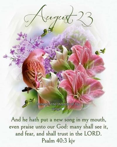 537561410_18021785522743683_8547717714616643706_n