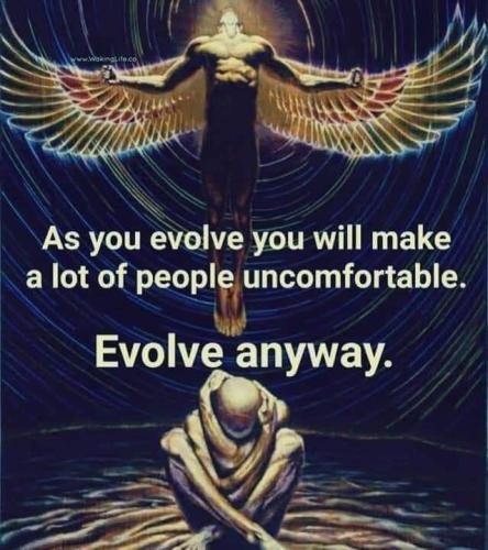 018db85bb06a39ed56fc8317e74dbc4a