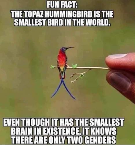 c45eac45-fa5d-47b9-af5d-93609dcf04ac