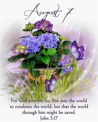 528335182_18019929143743683_3268686989542852711_n