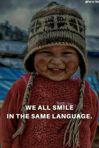 fd0642d40f4a58bd825755f50d1a74e4