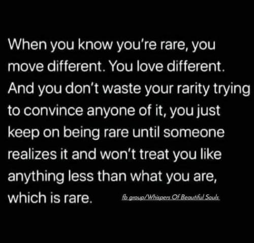 527055576_24350921077878694_3840279544345628432_n