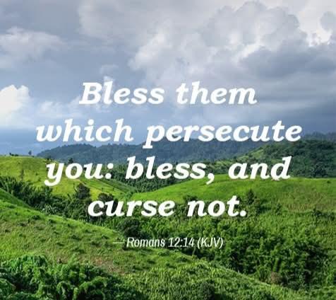 1276b5a1-16a0-4cfa-9b7b-02db69d3ff8f