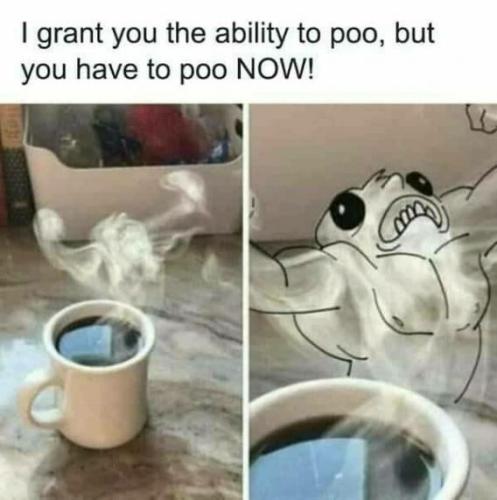 poo