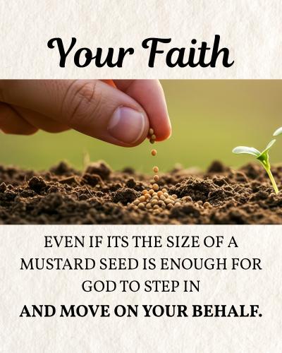 521837788_122183609492452079_2599370813094523643_n