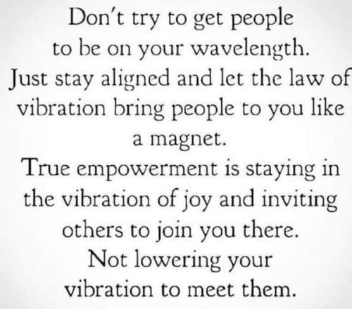 531801385_768808389368689_7470891375381237944_n