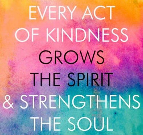 a8ded29ea1e8fb70cd88ea005d59398a