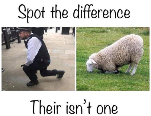 FB_IMG_1753101177047