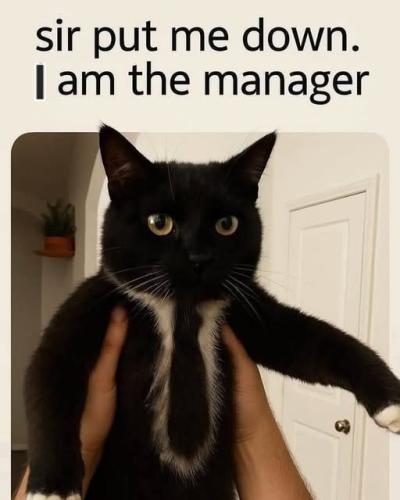 538376470_122224712360088259_248010876102528832_n