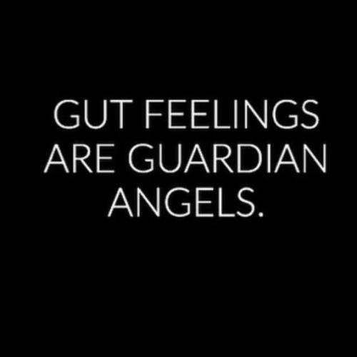 02dae017f004317a2e9cd65c58580c68