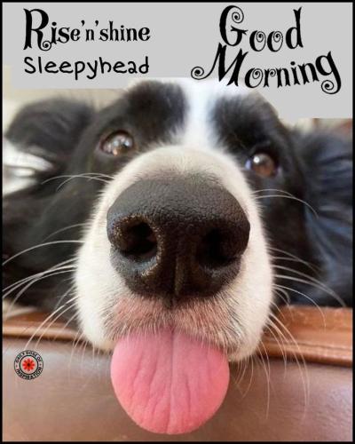 0933ad8cec0b94f97eb471a01549080c