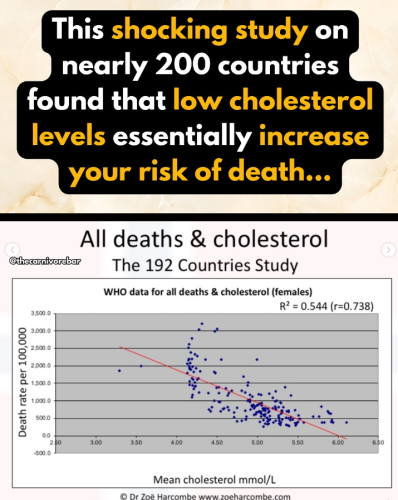 Screenshot 2025-07-30 090514