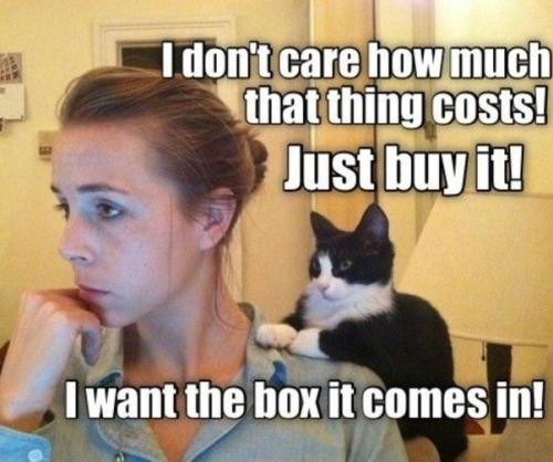 d1e87a0a7a462af31b3c6468e94995fd