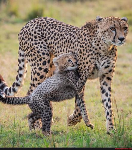 03499263dd9771f98d739b724a10fc1db5136d34ac1dd13314bf29867b77f8d0_1