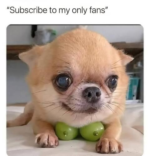 539755130_122224931462088259_791298515902025467_n