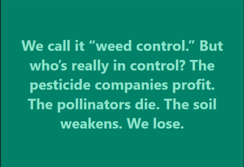 pesticides and profits