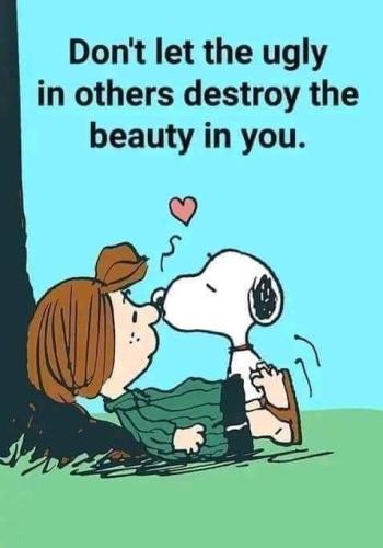 27a98fdae5d68ca7232ae7c5bf3c23ae