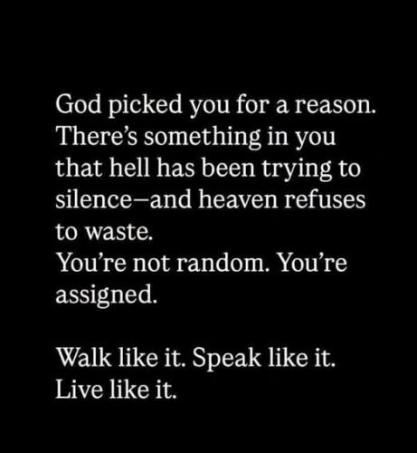 537310606_10238640180403614_5354762054855808494_n