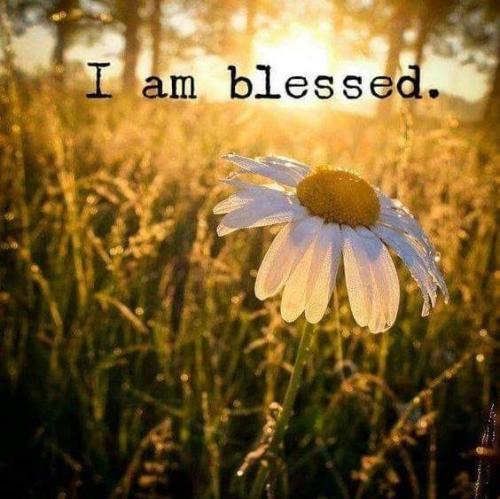 b17e25485f414009a74ab2b742b73a08