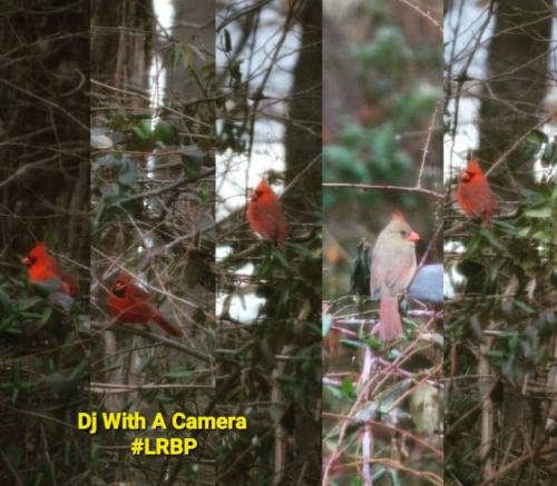 Screenshot_20250804_070840_Gallery