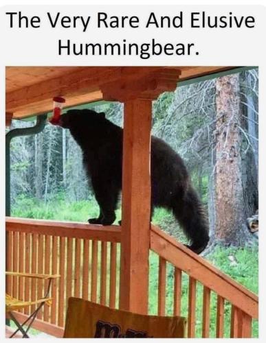 FB_IMG_1755886205713