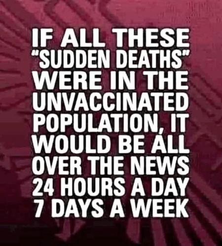 FB_IMG_1755452312175