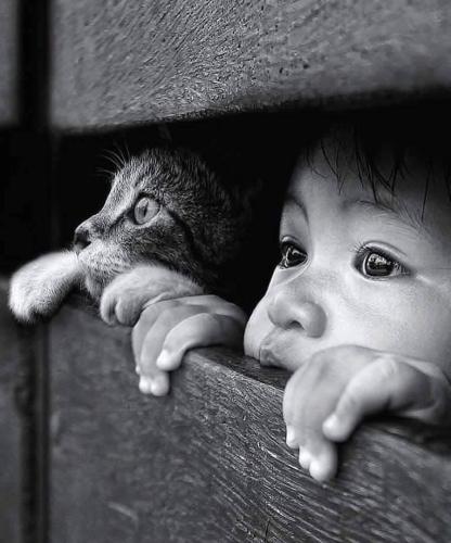 c355444a6741ee578c16bff6c851219e